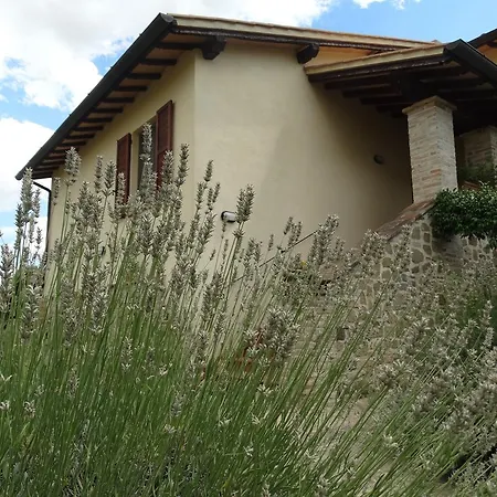 Il Cerreto Landsted *