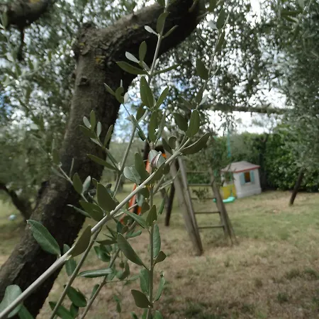 Il Cerreto 컨트리하우스 *