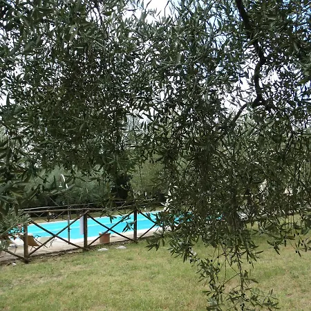 Il Cerreto 贝托纳